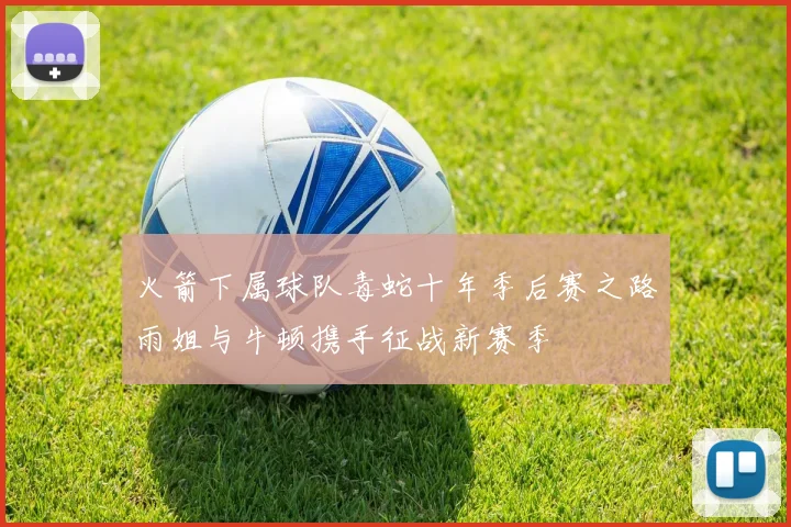 火箭下属球队毒蛇十年季后赛之路雨姐与牛顿携手征战新赛季